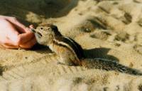 Am Strand 2 